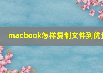 macbook怎样复制文件到优盘