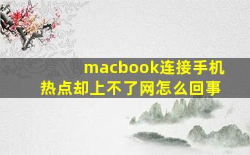 macbook连接手机热点却上不了网怎么回事