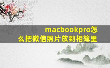 macbookpro怎么把微信照片放到相簿里