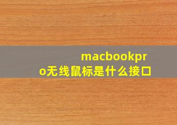 macbookpro无线鼠标是什么接口