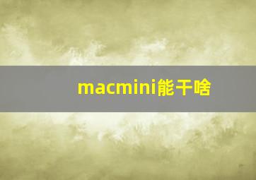 macmini能干啥