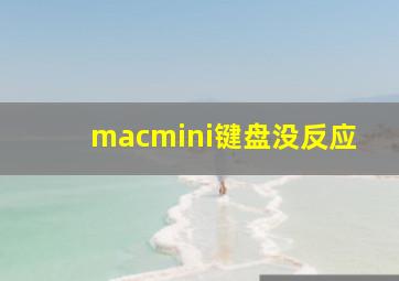 macmini键盘没反应