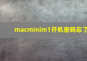 macminim1开机密码忘了