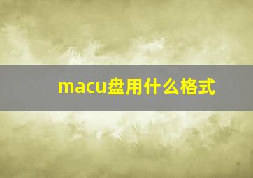 macu盘用什么格式