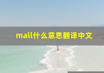 mall什么意思翻译中文