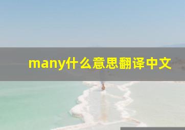 many什么意思翻译中文