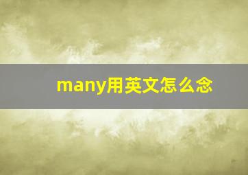 many用英文怎么念