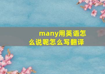 many用英语怎么说呢怎么写翻译