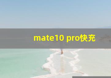 mate10 pro快充