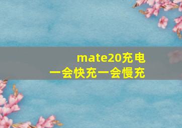 mate20充电一会快充一会慢充