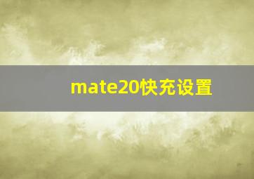 mate20快充设置