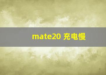 mate20 充电慢