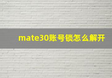 mate30账号锁怎么解开