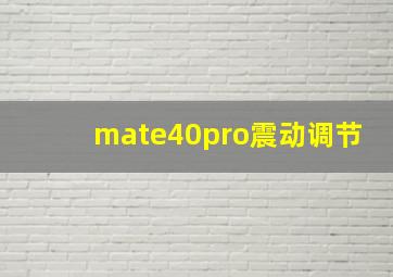 mate40pro震动调节