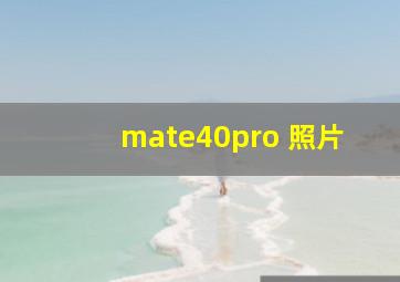 mate40pro 照片