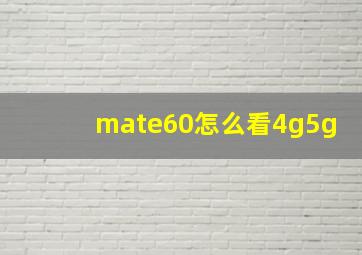 mate60怎么看4g5g