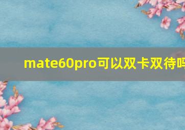 mate60pro可以双卡双待吗