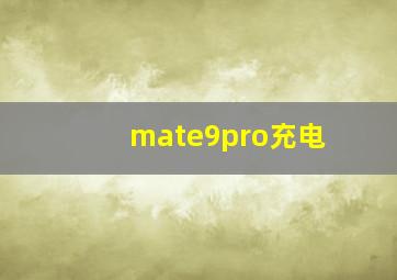 mate9pro充电