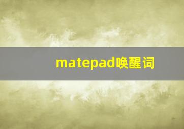 matepad唤醒词