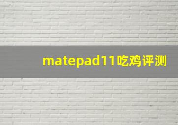 matepad11吃鸡评测