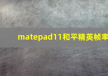 matepad11和平精英帧率