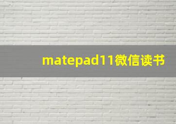 matepad11微信读书