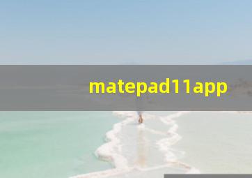 matepad11app