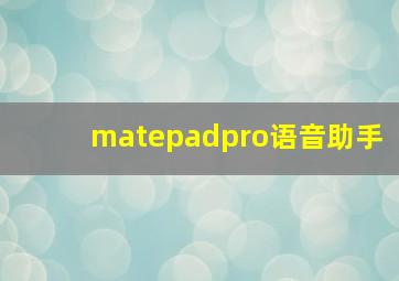 matepadpro语音助手