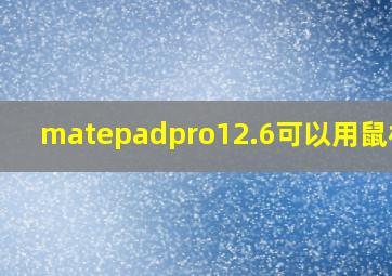 matepadpro12.6可以用鼠标吗