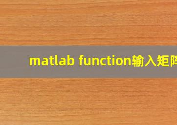 matlab function输入矩阵