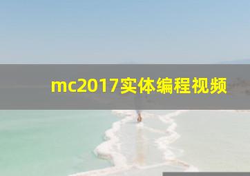 mc2017实体编程视频