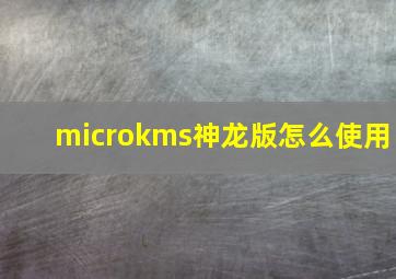 microkms神龙版怎么使用