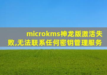 microkms神龙版激活失败,无法联系任何密钥管理服务