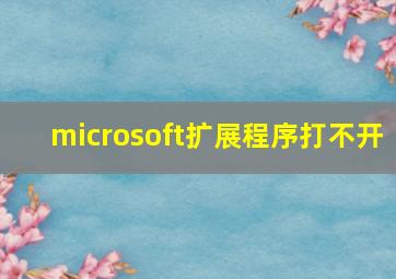 microsoft扩展程序打不开