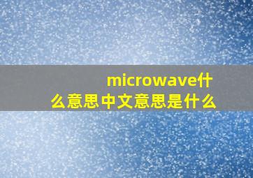 microwave什么意思中文意思是什么