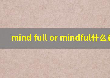 mind full or mindful什么意思