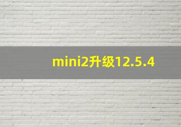 mini2升级12.5.4