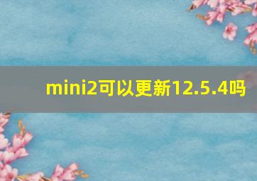 mini2可以更新12.5.4吗