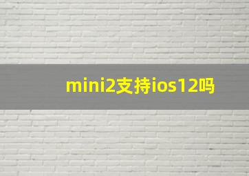 mini2支持ios12吗