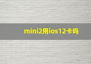 mini2用ios12卡吗