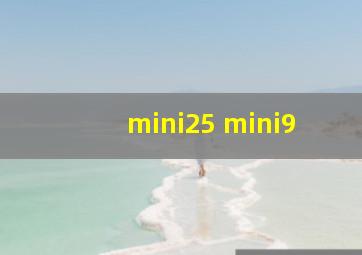 mini25 mini9