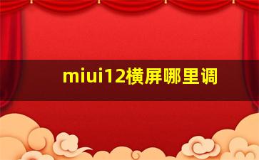 miui12横屏哪里调