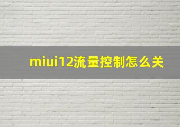 miui12流量控制怎么关