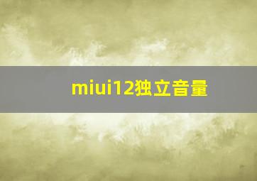 miui12独立音量