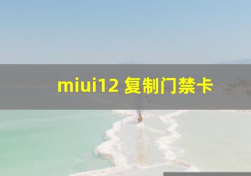 miui12 复制门禁卡