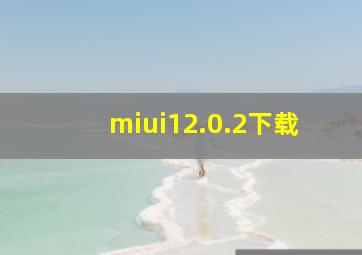 miui12.0.2下载