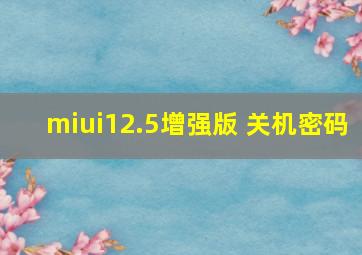 miui12.5增强版 关机密码