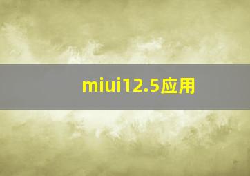 miui12.5应用