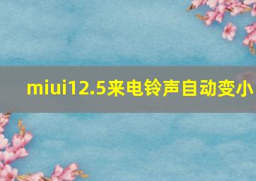 miui12.5来电铃声自动变小