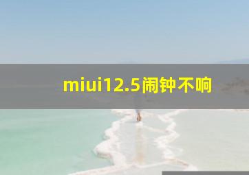 miui12.5闹钟不响